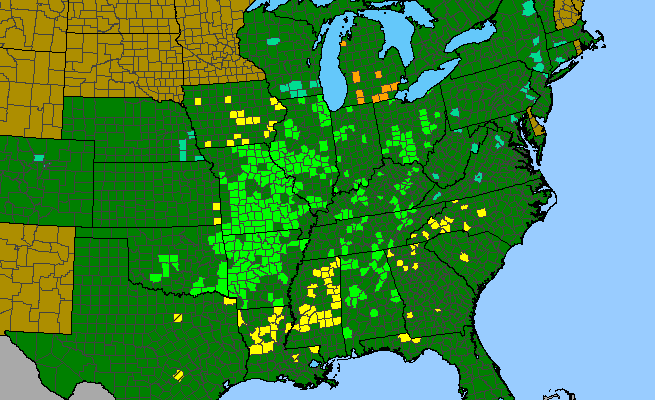 The range of Echinacea purpurea